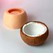 Silicone mold Coconut pot 100 grams