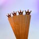 Wooden wick Crown. Size to choose, 100 mm, 12 mm