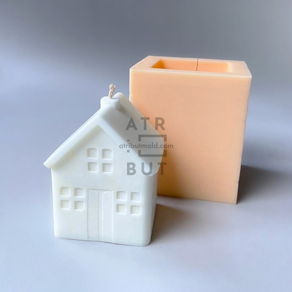 Silicone mold House